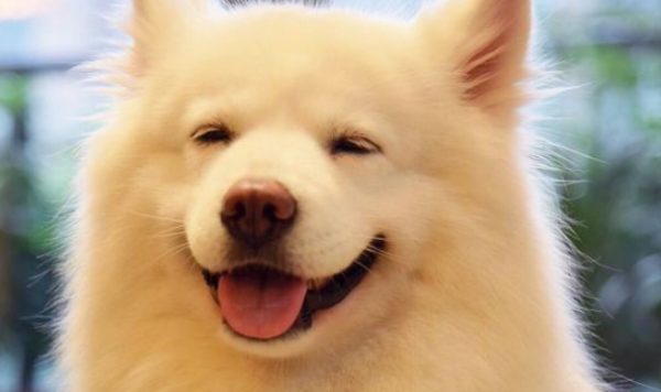 How many of the five 