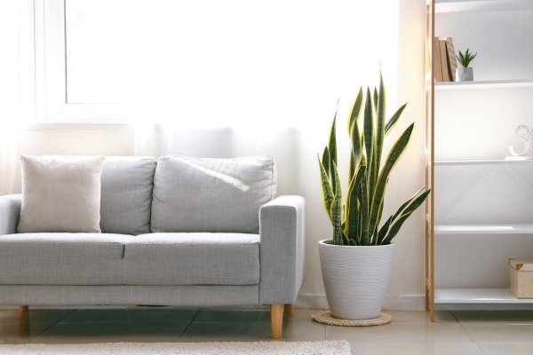 I live on Dama Road in tightly, can I still open the windows to make the air flow? 5 Situations help maintain indoor empty products