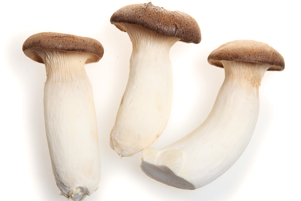 Apricot mushrooms are about 3 times higher than ordinary vegetables! Nutritionists suggest the benefits of nourishing, but eating this way is too NG