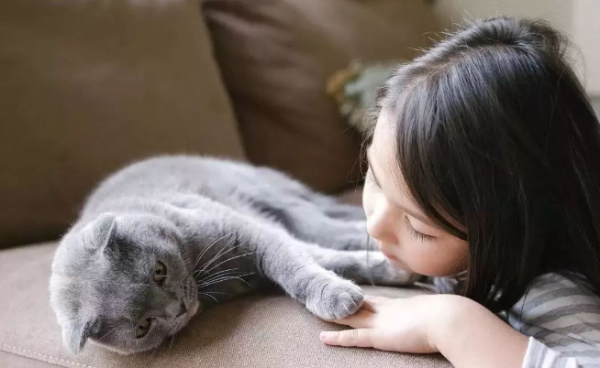 Do cats actually have acne? So that s it