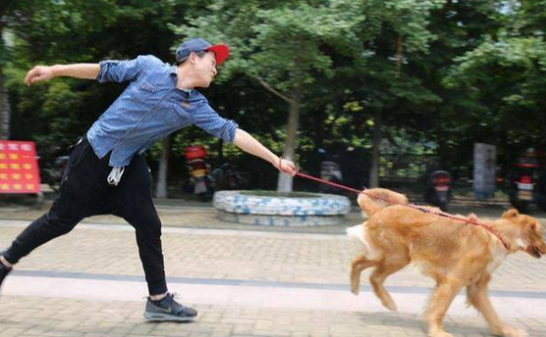 What are the symptoms of enteritis in dogs? Treatment methods for enteritis in dogs