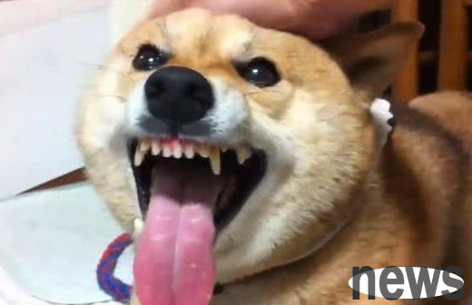 Everyone subconsciously 