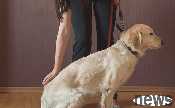 Do these 5 things to puppies, and they will hate you