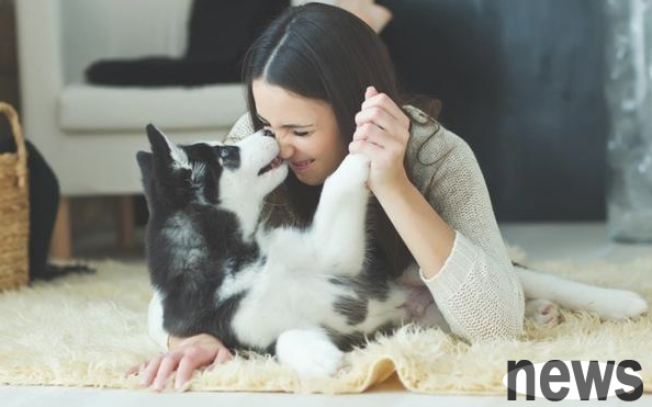 Do you know how to build relationships with dogs?
