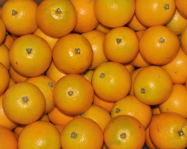 Vitamins are 16 times that of Apple. Expert tutors choose high-quality Liu Ding