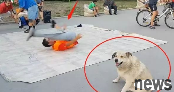 The young man danced street dance on the side of the road, but the dog came to 