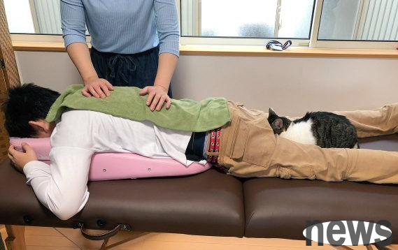 Japanese Cat Coffee has 23 cute cats and provides massage services from time to time