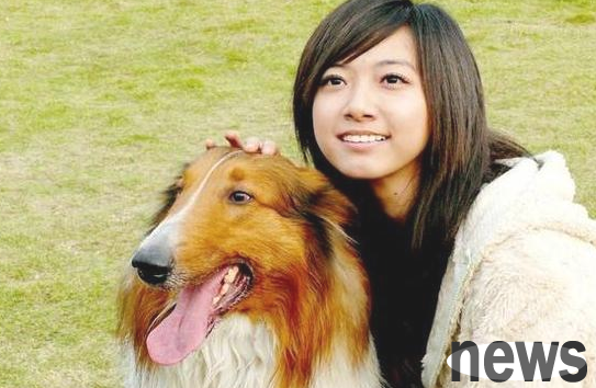 5 favorite things for dogs. If the pet owner gets it, its emotions with you will be deeper.