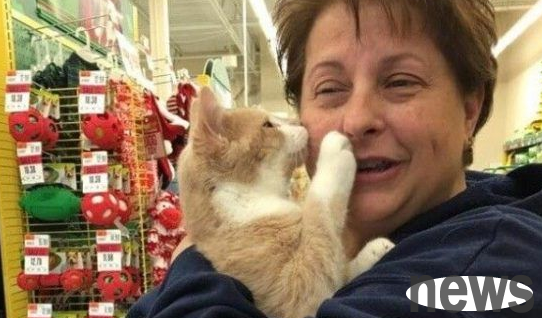 The orange cat has experienced a second death disaster. Fortunately, he met his life-saving benefactor and acted coquettishly to express his gratitude