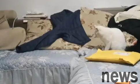 The woman was angry and refused to answer her husband s call, but the cat next to her reacted 