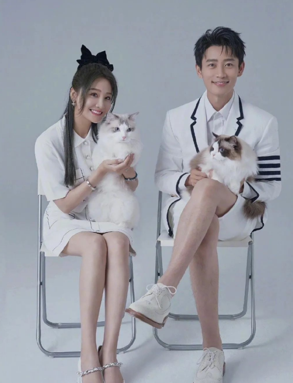 Wei Chen collapsed: Cat owners don’t deserve to have obsessive-compulsive disorder!