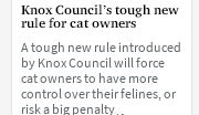 Melbourne’s Eastern District implements “cat curfew”: pet cats cannot leave home without permission, and violators will be severely fined
