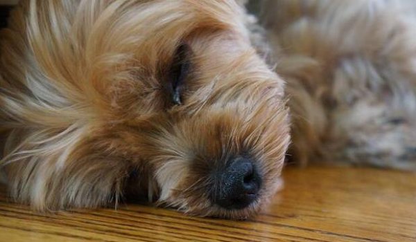 Tears! The truth revealed: Is 