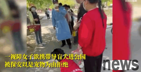 The guide dog took off its guide saddle and walked into his favorite sea for the first time in 13 years...