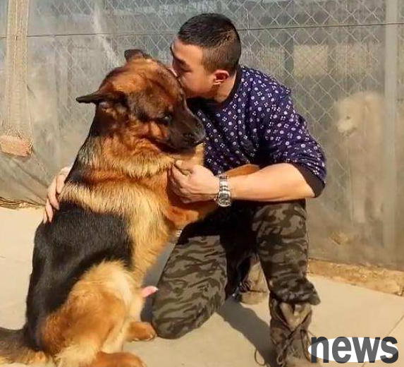 The German Shepherd was ignored by his owner. The owner kissed the German Shepherd and the German Shepherd suddenly became excited!