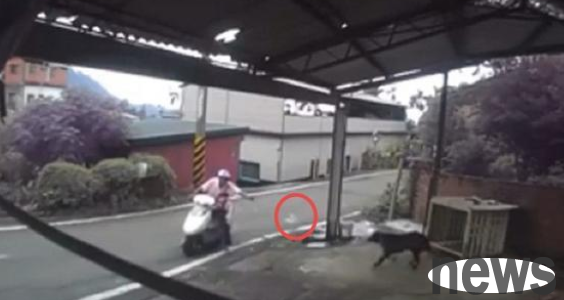 Bad guys get older? A man allegedly poisoned a 9-year-old dog due to dissatisfaction because it was barked at. The dog struggled in pain and even tore off the chain.